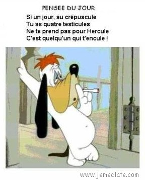 pensez-y !!!!