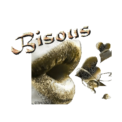 POUR VOUS 